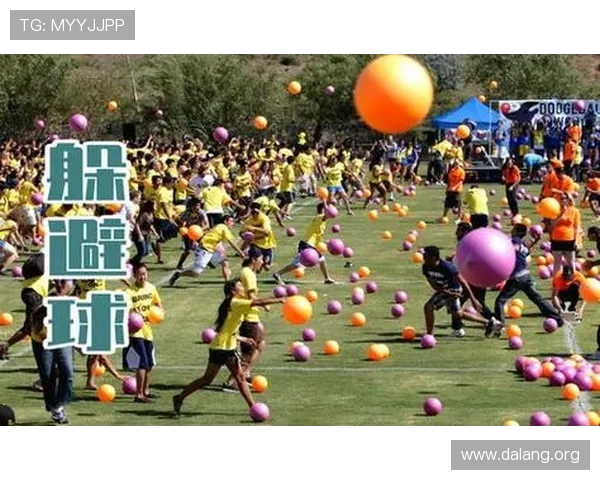 qy千亿球友体育的主要功能详解让体育爱好者轻松掌握平台的全部服务内容